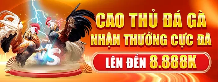 cao thủ đá gà